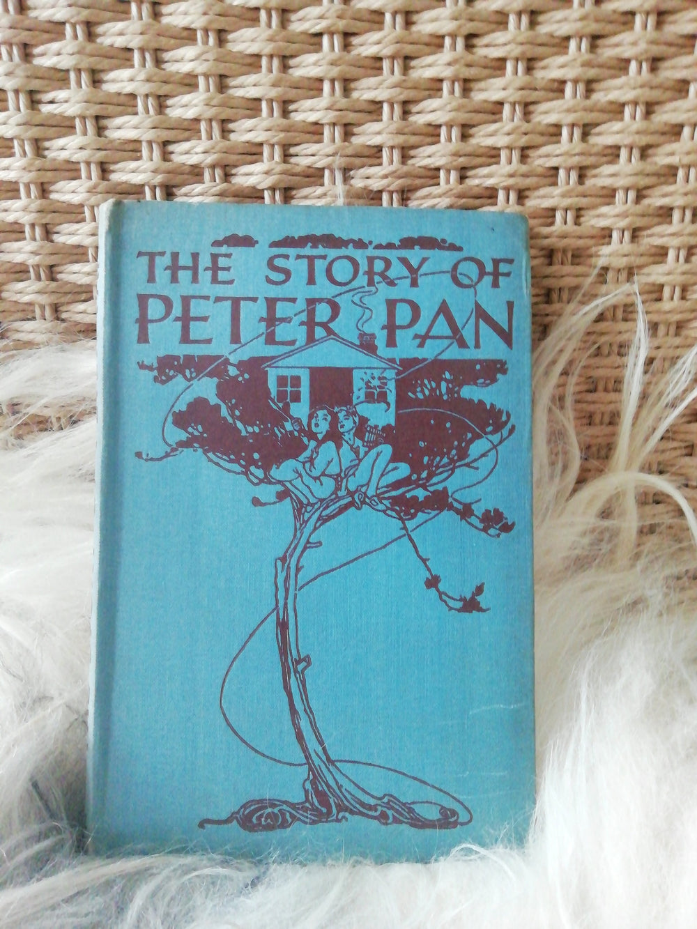 Die Geschichte von PETER PAN