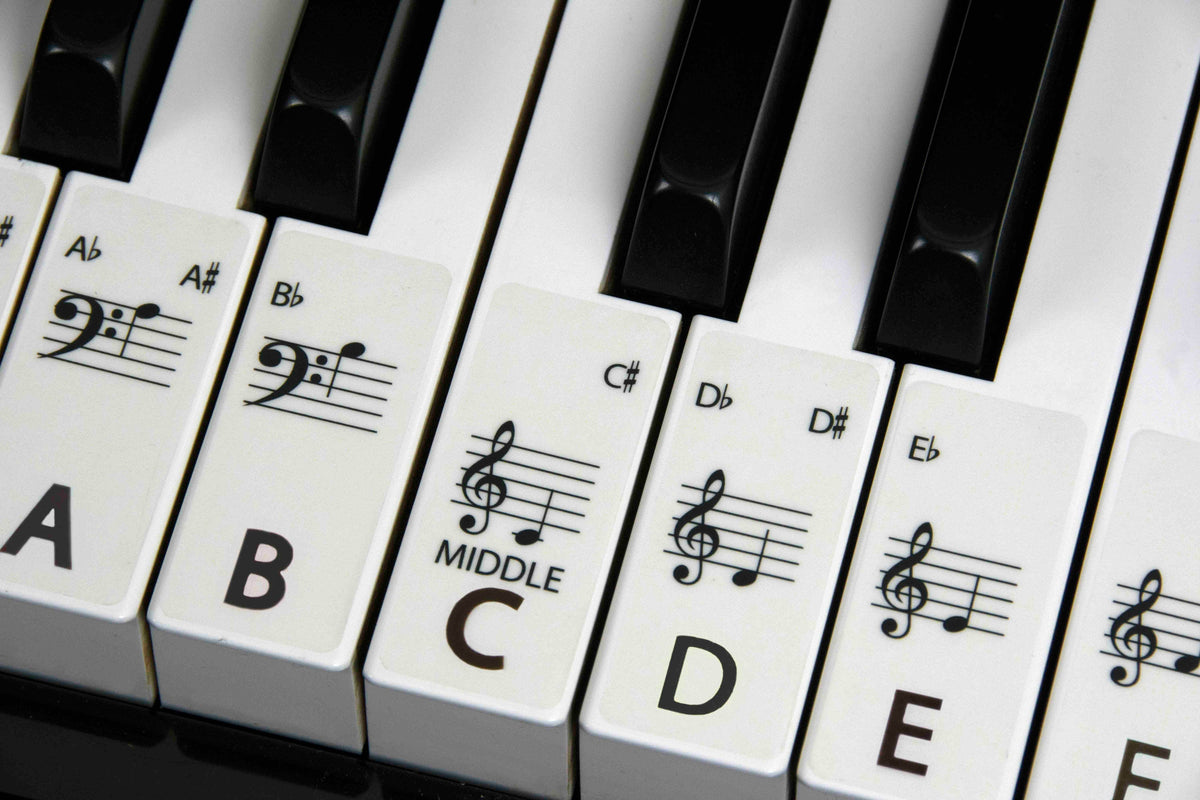 Pegatinas de PIANO Teclado para TODOS LOS TAMAÑOS Pianos la mejor manera de aprender Piano Transparente