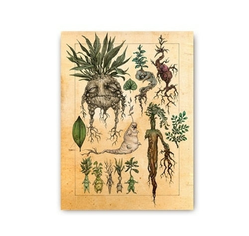Harry Fan Art Illustration Cute Mandrake Plant Decor Canvas Painting
