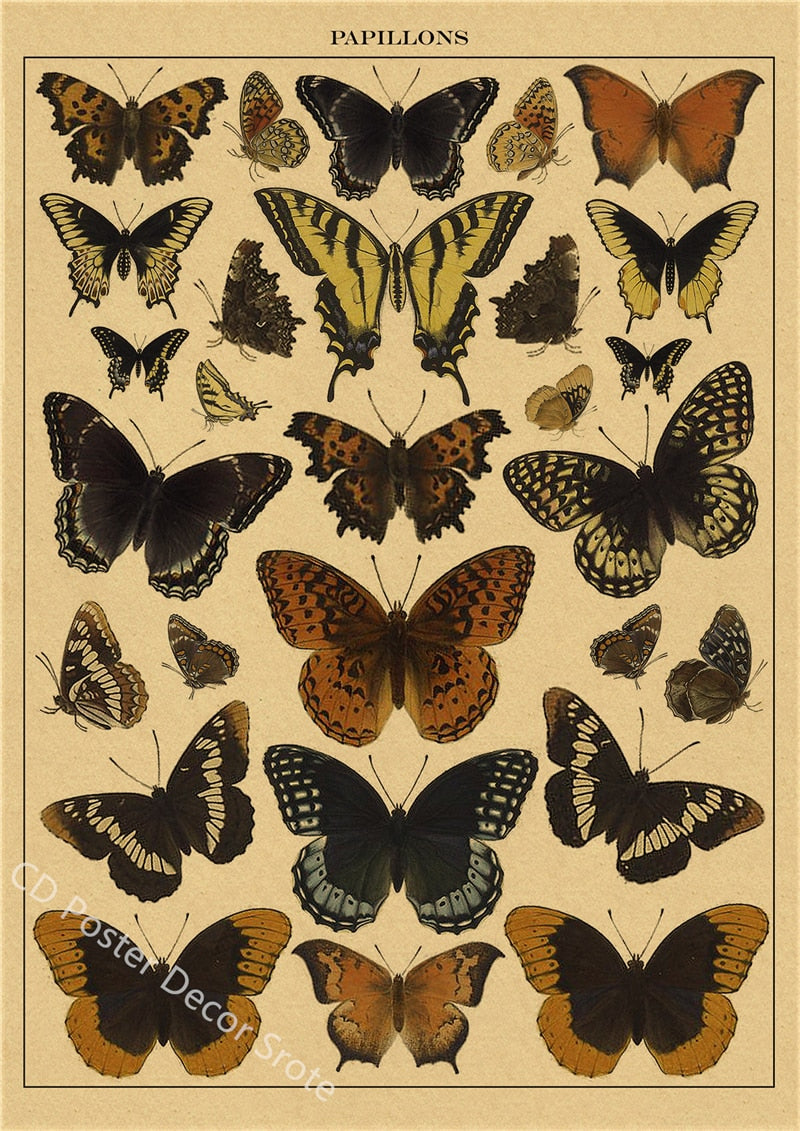 Schmetterlinge Poster Blumen Vögel Retro Kraftpapier Drucke Botanischer Vintage Home Room Bar Cafe Dekor Ästhetische Kunst Wandmalerei