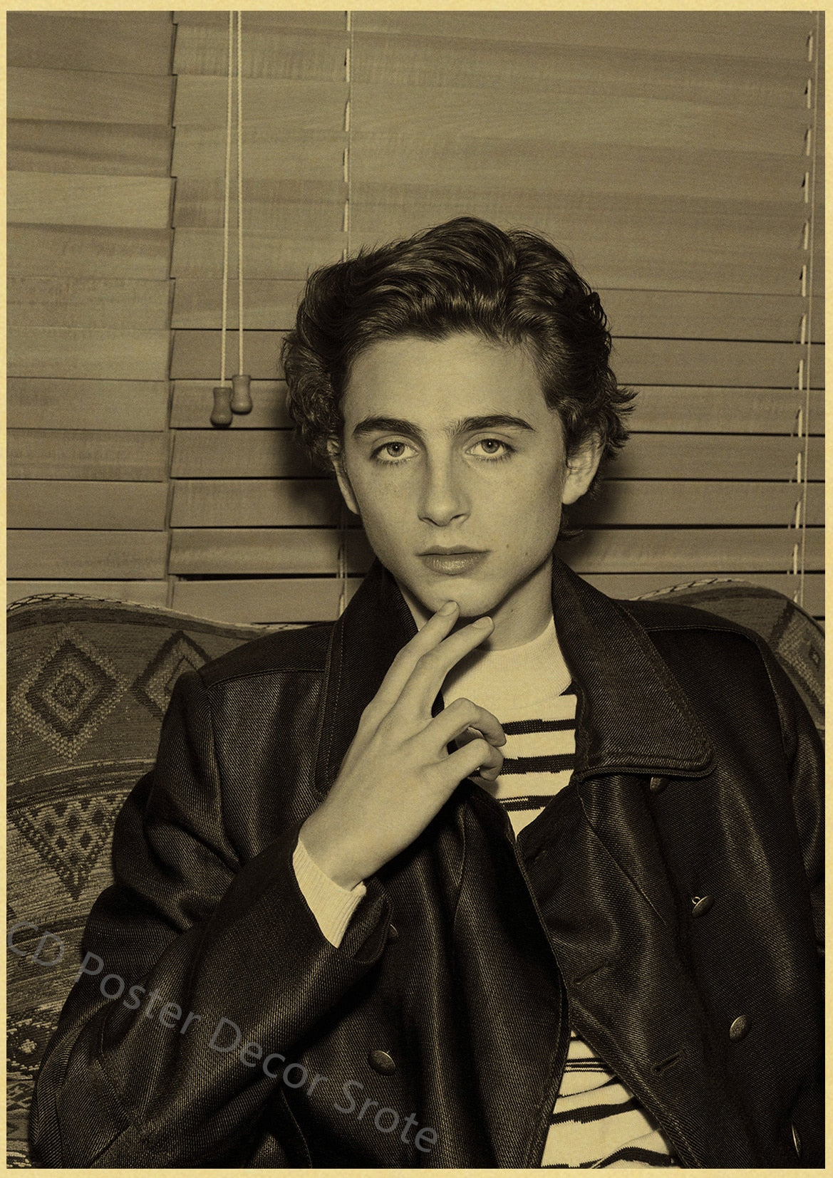 Timothee Chalamet Retro Poster Kraft Paper Prints and Posters Home Room Bar Cafe Movie Theater Decor Aesthetic Art Wall Painting