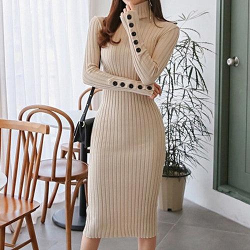 Sexy Bodycon Solid Dress Turtleneck Long