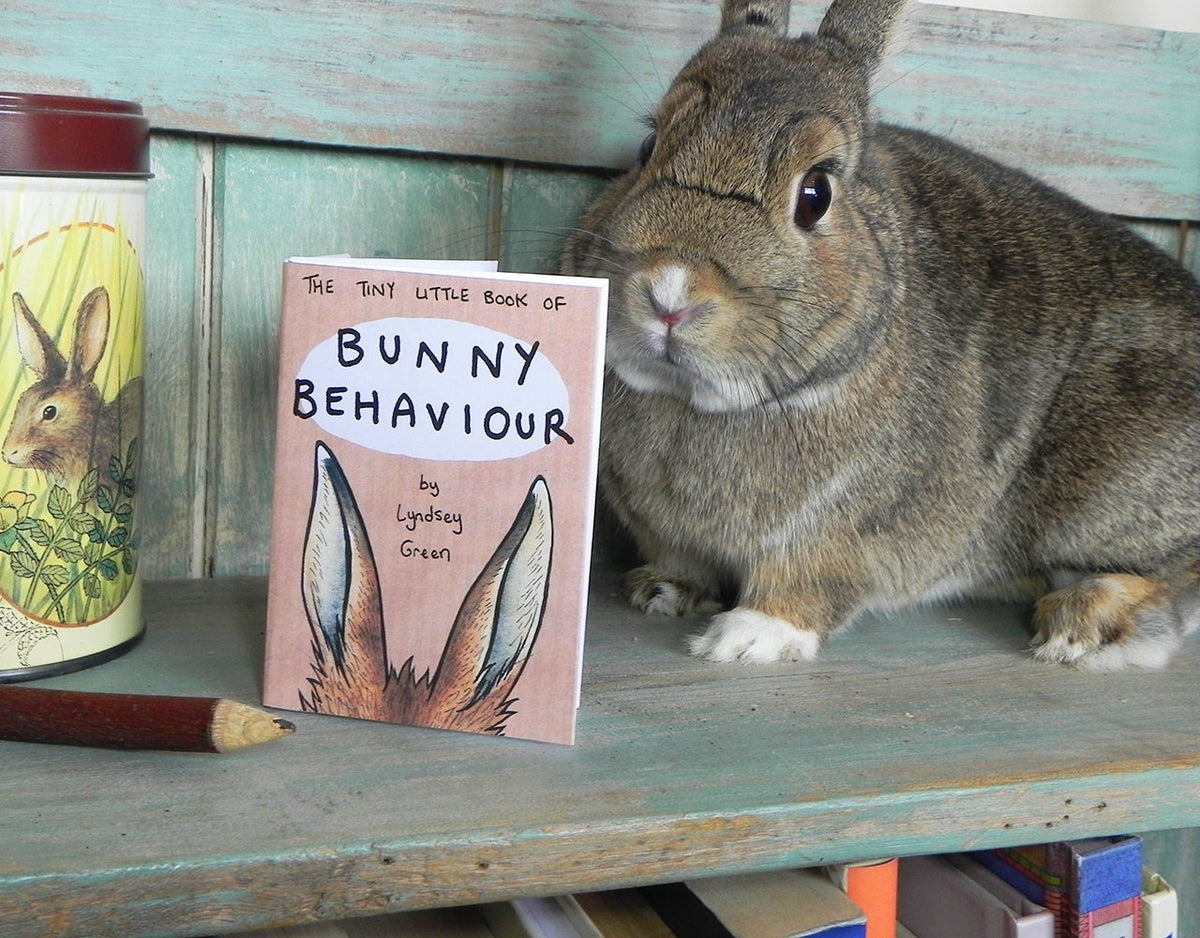 El librito diminuto del comportamiento de los conejos - Ilustración Mini Zine
