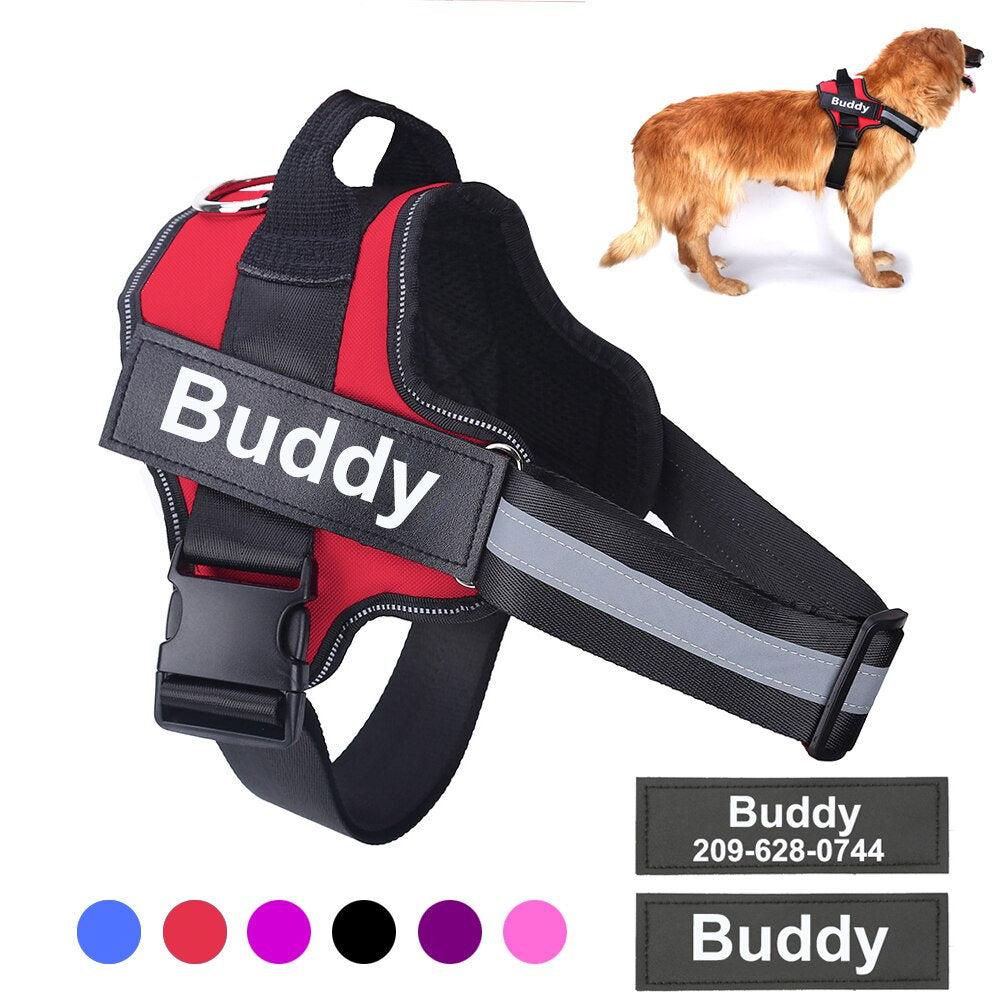 Best Dog Harness, No Pull Dog Harness Vest with Handle, Custom Pitbull or Mesh Dog Harness, Personalized Name Puppie Step in Dog Harness