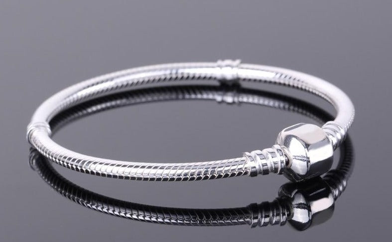 Silver Pandora style charm bracelet | Charms for bracelet | Boy Teenager Bracelet | Sterling silver Bracelet | Delicate Friendship Bracelet - BonoGifts