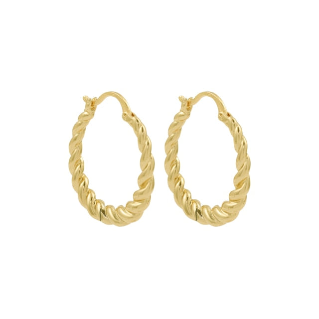 Huggie Hoop Earrings | Small Hoop Earrings | Women Earrings | Stainless Steel Hoop Earrings | Round Circle Earrings | Thick Hoop Earrings